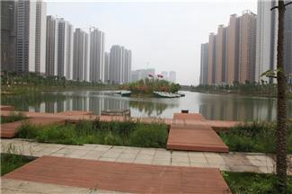 来宾市中央绿化带五大联赛平台-（中国）科技公司
